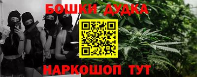 прущие крисы Кингисепп