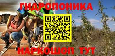 прущие крисы Кингисепп