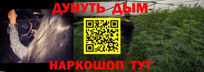 прущие крисы Кингисепп