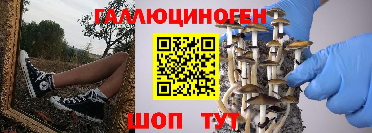 Псилоцибиновые грибы Psilocybine cubensis  Вход с VPN  Чапаевск 